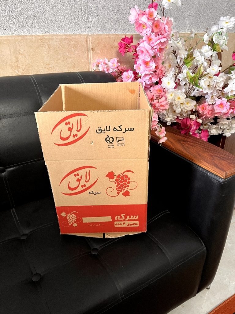 نمونه طراحی کارتن - ناب گستر