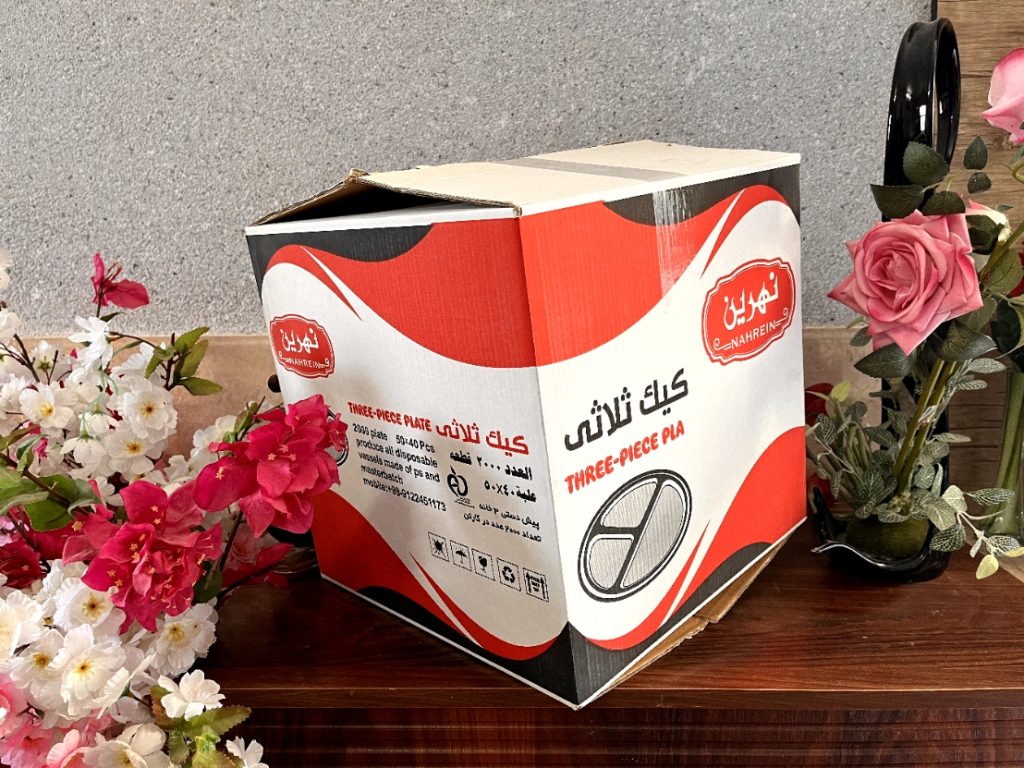 نمونه طراحی کارتن - ناب گستر
