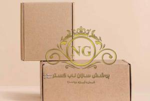 کارتن پستی چیست؟